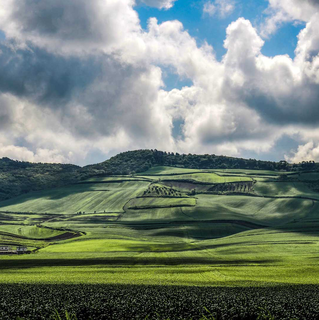Landescape