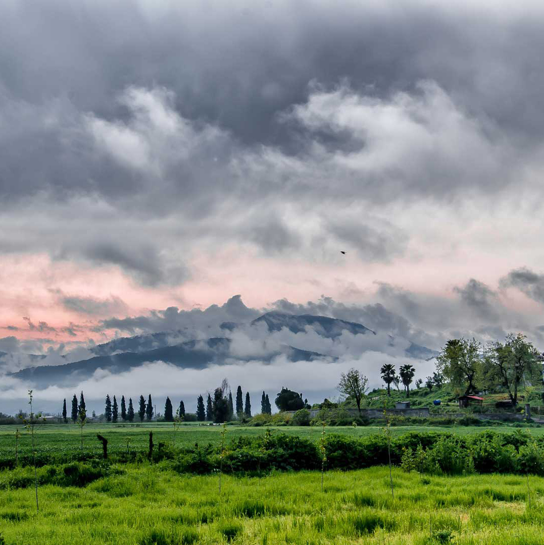 Landescape