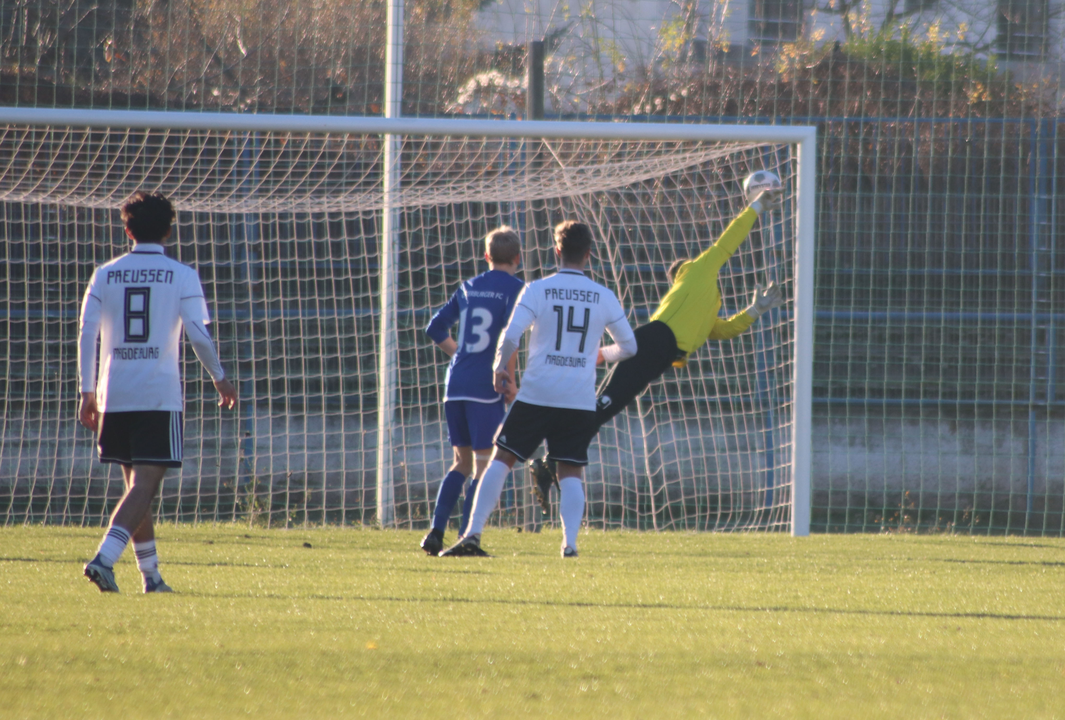 Sport